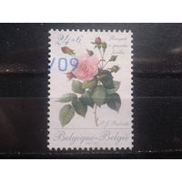 Бельгия 1988 Роза Михель-2,0 евро гаш