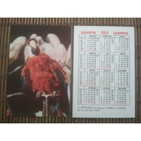 Карманный календарик.1984 год. Цирк. Попугай
