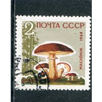 СССР 1964.. Гриб масленок