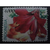 Индонезия 2001 Цветы Mi-1,5 евро гаш.