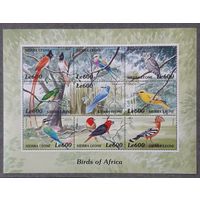 2000 -птицы Африки   -Сьерра-Леоне