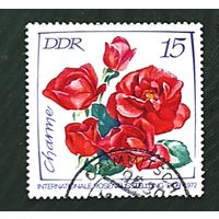ГДР: 1м цветы