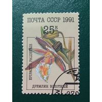 Марка СССР 1991 Орхидеи