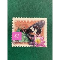 Австралия 1997. Бабочки