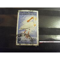 1976 Французкая колония Территория Афаров и Иссу фауна птицы выпускалась одиночкой очень дорогая не рядовая дикий номинал легкое повреждение уценка (5-7)
