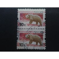 Россия 2008 стандарт, медведь, пара