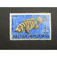 Британский Гондурас 1969. Рыбы. Полная серия