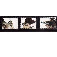 Нидерланды-1998 (Мих.1675-1677) **  ,   Фауна, Домашние животные, Собаки, Кошки(полная серия)