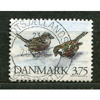 Птицы. Воробьи. Дания. 1994