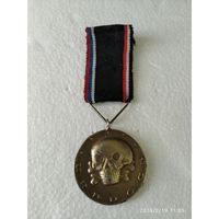 Реплика Знак белой гвардии медаль Железной дивизии Русской Западной Добровольческой Армии 1919г.