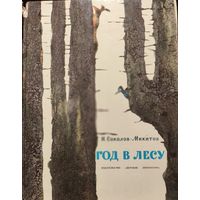 ГОД В ЛЕСУ. Прекрасная иллюстрированная книга!  Вашему ребенку понравится!