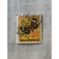 Новая Зеландия. Фауна. Бабочки