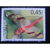 Болгария 2005 стрекоза