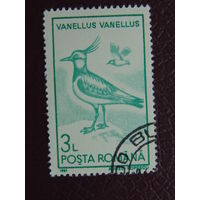 Румыния 1991 г. Птицы.