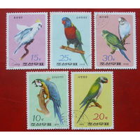 КНДР. Попугаи. ( 5 марок ) 1975 года. 3-1.