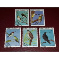 Куба 1977 Фауна. Птицы. Полная серия 5 марок