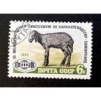 СССР 1975 г. 3-й Международный симпозиум по каракулеводству. Самарканд, полная серия из 1 марки #0138-Л1P8