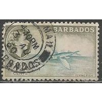 Барбадос. Королева Елизавета II. Летающая рыба. 1953г. Mi#210.