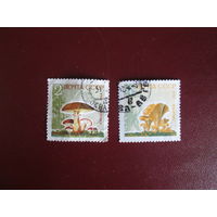 Грибы.СССР.2 марки.1964г.