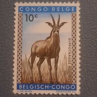 Конго 1959. Бельгийская колония. Антилопа
