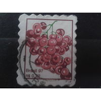 Бразилия 1997 Стандарт, ягоды Михель-1,5 евро гаш