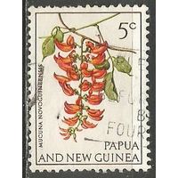 Папуа Новая Гвинея. Лиана Мукуна. 1967г. Mi#102.