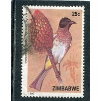 Зимбабве. Птицы
