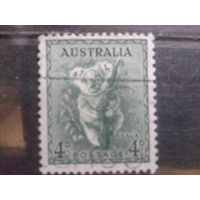 Австралия 1940 Коала