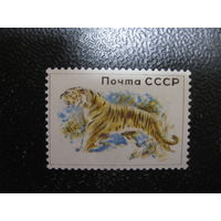 Проба марки СССР 1960 года тигр