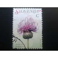 Словения 2007 стандарт, цветы