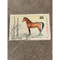 Тунис 1997. Породы лошадей. Марка из серии