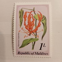 Мальдивы. Флора. Gloriosa suoerba