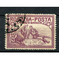 Королевство Румыния - 1906 - Благотворительность 15B - [Mi.172C] - 1 марка. Гашеная.  (Лот 111AA)