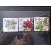 Англия 2002 Рождество, цветы Михель-2,8 евро гаш