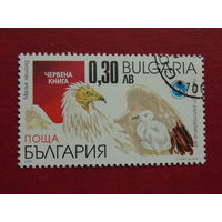 Болгария 2001 г. Птицы.