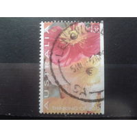 Австралия 1994 Цветы, марка из буклета с обрезом