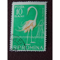 Румыния 1957г. Птицы