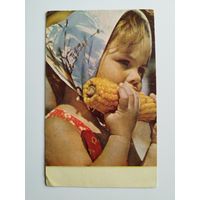 Вкусная кукуруза. Фото А. Станового. 1969 год. Чистая