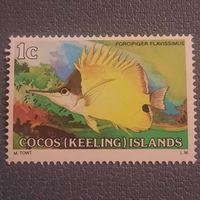 Кокосовые острова 1979. Фауна. Рыбы. Forcipiger Flavissimus