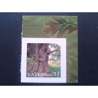 Латвия 2005 дерево