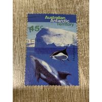Австралия. Австралийская антарктическая территория 1995. Косатка. Марка из серии