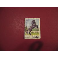 Марка Лошадь 1981 год Куба