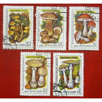 СССР. Ядовитые грибы. ( 5 марок ) 1986 года. 7-1.