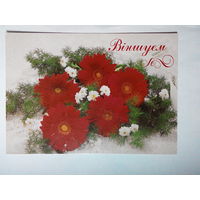 Арт Дизайн. Виншуем. Поздравляем. Цветы. Белорусская Открытка. Чистая #0027-FL1P14