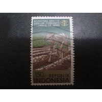 Индонезия 1986 на сахарной плантации