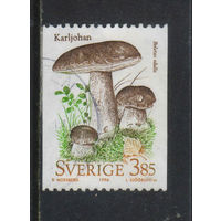 Швеция 1996 Природа Белый гриб Стандарт #1950