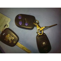 2 брелока от сигнализаций "магнум","бастион" Ключ от пежо 307