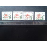 Бельгия 1997 Стандарт, цветы. Полная серия разновидностей в буклете Михель-3,2 евро гаш