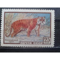 1959, Уссурийский тигр**