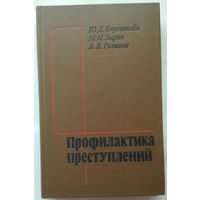 Книга Блувштейн Ю.Д., Зырин М.И., Романов В.В. - Профилактика преступлений 287с.